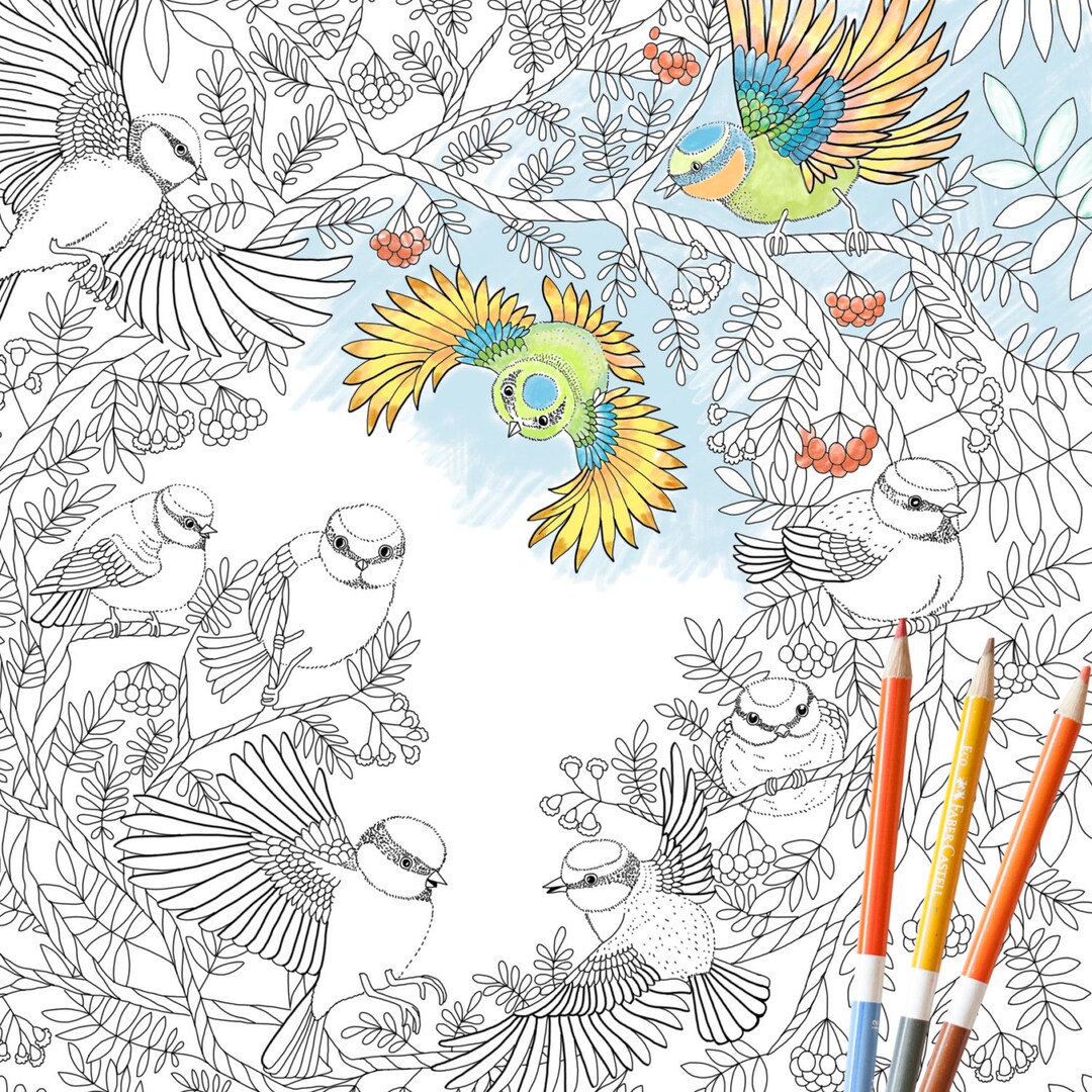 Coloring Page INSTANT DOWNLOAD Paradise Birds Adult Coloring Page Bird