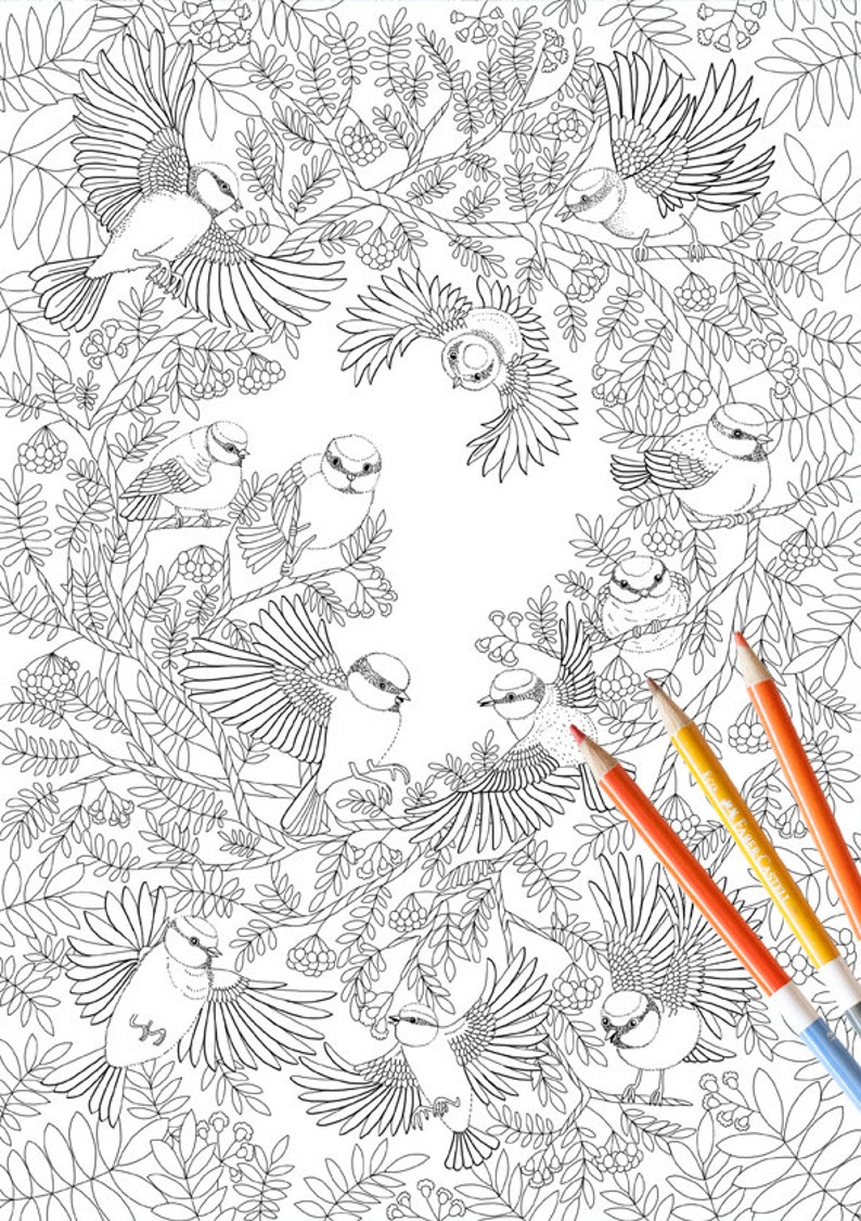 Coloring Page INSTANT DOWNLOAD Paradise Birds Adult Coloring | Etsy