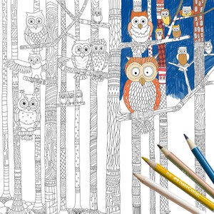 Coloring pages, INSTANT download, printable, owls, forest, nature, DIGITAL DOWNLOAD, coloring book, adult coloring book, printable coloring