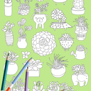 Succulent coloring page, plant coloring page, adult coloring page, coloring book, DIGITAL DOWNLOAD, cactus coloring page image 3