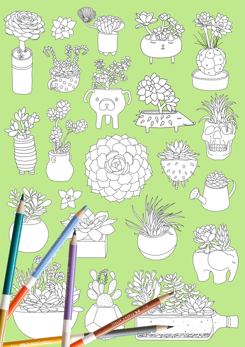 Succulent coloring page, plant coloring page, adult coloring page, coloring book, DIGITAL DOWNLOAD, cactus coloring page image 3