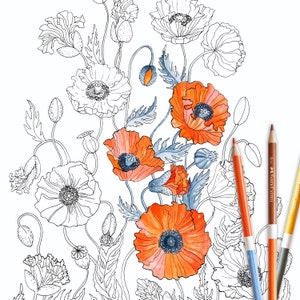 Coloring pages, POPPY, digital download, poppies, coloring book, PRINTABLE,instant download,gift for her,adult coloring pages,floral,flowers