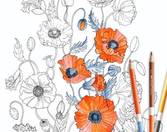Målarbilder, VALLMO, digital nedladdning, vallmo, målarbok, UTSKRIFTSBAR, direktnedladdning, present till henne, målarbilder för vuxna, blommor, blommor