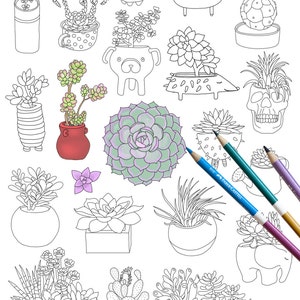 Succulent coloring page, plant coloring page, adult coloring page, coloring book, DIGITAL DOWNLOAD, cactus coloring page image 1