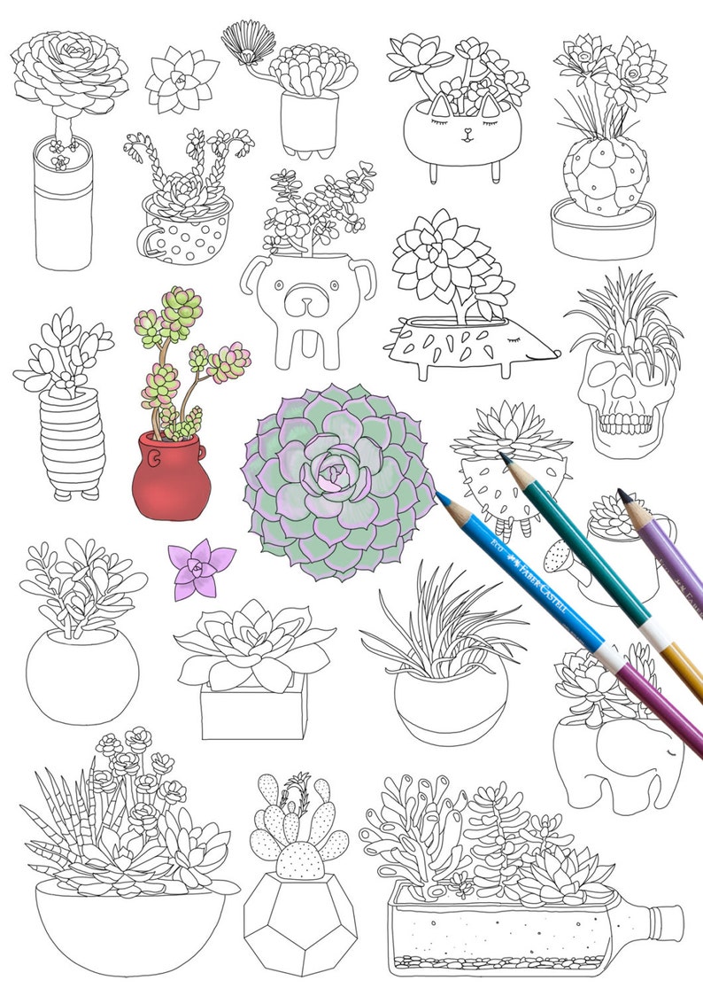 Succulent coloring page, plant coloring page, adult coloring page, coloring book, DIGITAL DOWNLOAD, cactus coloring page image 1