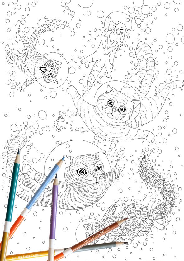 Coloring Book adult coloring page Cat cats animaladult | Etsy
