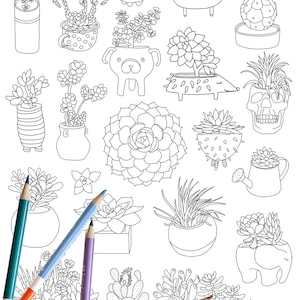 Succulent coloring page, plant coloring page, adult coloring page, coloring book, DIGITAL DOWNLOAD, cactus coloring page image 2