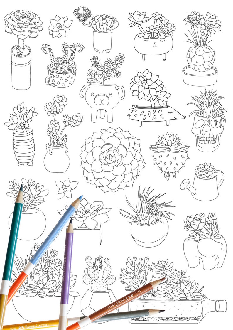 Succulent coloring page, plant coloring page, adult coloring page, coloring book, DIGITAL DOWNLOAD, cactus coloring page image 2