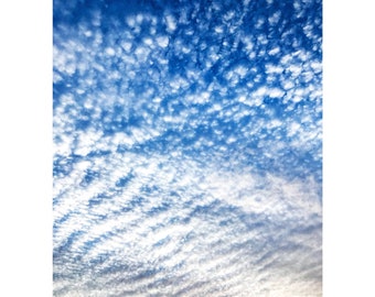 Photo Card - Sky Photo Poster - Photo Print - Clouds Print - Sky Photo - Clouds Photo Print- Sky Poster - Tree Photo Poster