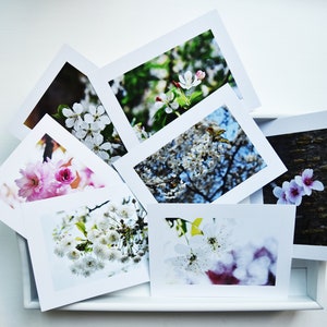 Blank Photo Card One Sided Card Nature Photo Nature Photo Card Botanical Card Floral Card Active image 3