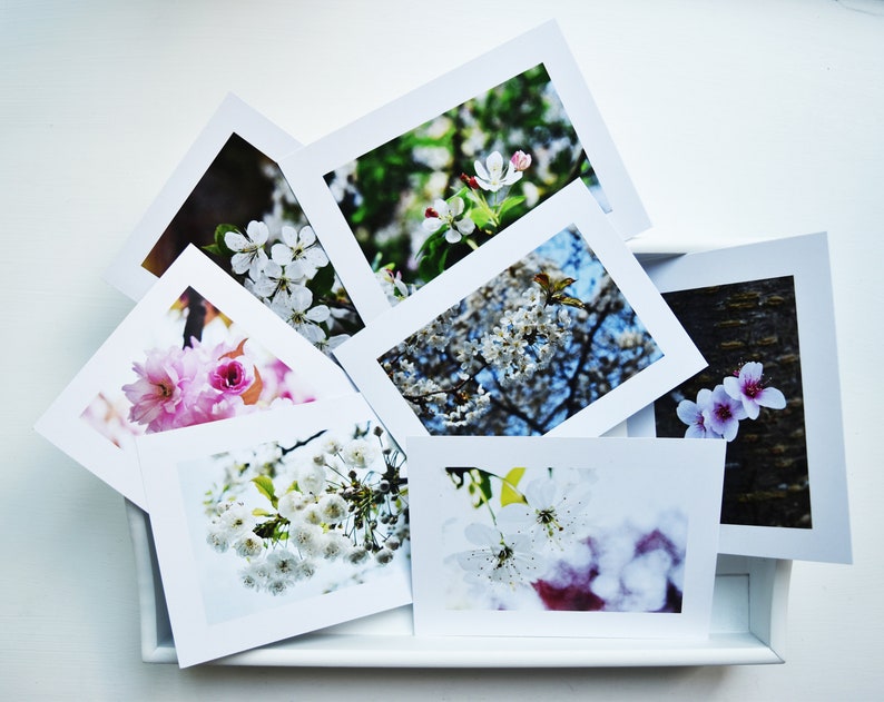 Blank Photo Card One Sided Card Nature Photo Nature Photo Card Botanical Card Floral Card Active image 3