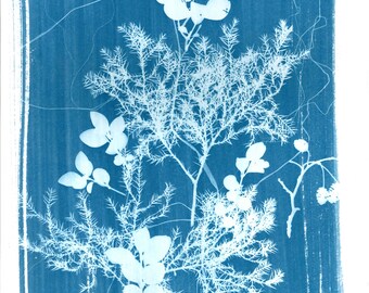 Cyanotype Contemporary Botanical Poster Print - Contemporary Cyanotype Painting Print - Statement piece Active