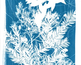 Cyanotype Contemporary Botanical Poster Print - Contemporary Cyanotype Painting Print - Statement piece