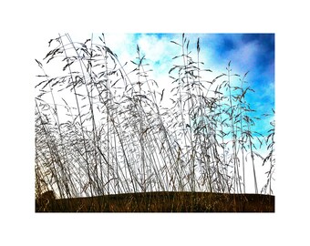 Photo Card - Sky Photo Poster - Photo Print - Sky Print - Sky Photo - Pampas Photo Print- Sky Poster - Pampas Photo Poster