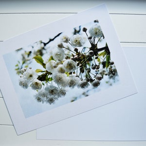 Blank Photo Card One Sided Card Nature Photo Nature Photo Card Botanical Card Floral Card Active image 2