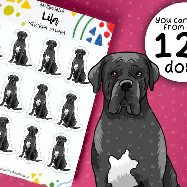 Customisable Cani Corsi Sticker Sheet, Personalise Waterproof Stickers, Pet Portrait Dishwasher Sticker, Cani Corsi dog loss gift