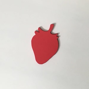 25 recortes de morango, recortes de morango, enfeites, recortes de papel, cartões de etiqueta de material para professores, 3" x 2"