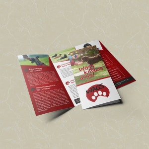 Puede incluir: Un folleto rojo de tres pliegues con un logotipo de huella de pata y el texto "Wags Knows Dogs!" El folleto anuncia clases de adiestramiento canino con diferentes niveles y precios. El folleto tambi&eacute;n incluye fotos de perros y entrenadores.