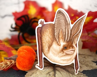 May include: A die-cut sticker featuring a brown bat with large, upright ears and a rounded body. The bat is illustrated with detailed fur textures and a light-colored underbelly, shown in a standing position with its wings folded against its sides.