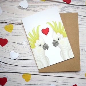 Carte illustrée de cacatoès de la Saint-Valentin - Carte de voeux 100 % recyclée inspirée de la faune avec emballage sans plastique