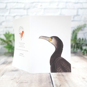 Carte illustrée cormoran - carte de voeux inspirée de la faune 100 % recyclée avec emballage sans plastique - carte vierge, d'anniversaire, de remerciement