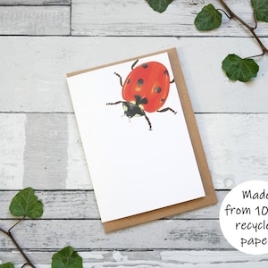 Carte illustrée coccinelle - carte de voeux 100 % recyclée inspirée de la faune avec emballage sans plastique - carte vierge, d'anniversaire, de remerciement