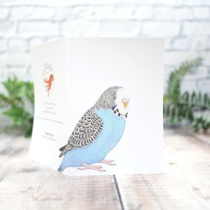 Carte illustrée Blue Budgie - Carte de voeux 100 % recyclée inspirée de la faune avec emballage sans plastique - Carte vierge, d'anniversaire, de remerciement