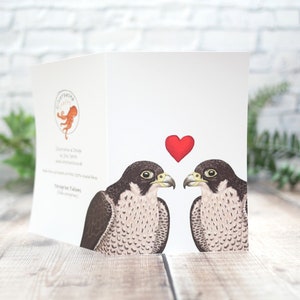 Carte illustrée de la Saint-Valentin faucons pèlerins - Carte de voeux 100 % recyclée inspirée de la faune avec emballage sans plastique