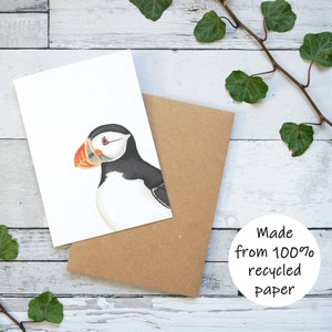 Carte illustrée macareux - Carte de voeux 100 % recyclée inspirée de la faune avec emballage sans plastique - Carte vierge, d'anniversaire, de remerciement