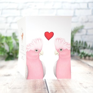 Carte illustrée de perroquets de Galah pour la Saint-Valentin - Carte de voeux 100 % recyclée inspirée de la faune avec emballage sans plastique