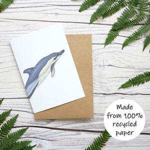 Illustrated Dolphin Card - 100% Recycled Wildlife Inspired Greetings Card with Plastic-Free Packaging - Blank, Birthday, Thank you Card