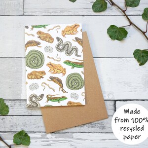 Carte illustrée de reptiles et d'amphibiens - Carte de voeux 100 % recyclée inspirée de la faune avec emballage sans plastique - Carte de remerciement vierge