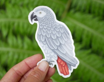 African Grey Vinyl Sticker - Waterproof Animal Wildlife Inspired Gift With Eco Friendly, Plastic-Free Packaging