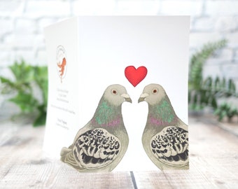 Illustrated Valentine Pigeons Card - 100% Recycled Wildlife Inspired Greetings Card with Plastic-Free Packaging - Wooden Gift Idea