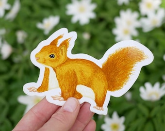 Red Squirrel Vinyl Sticker - Waterproof Animal Wildlife Inspired Gift With Eco Friendly, Plastic-Free Packaging