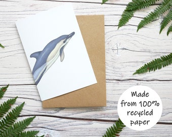 Illustrated Dolphin Card - 100% Recycled Wildlife Inspired Greetings Card with Plastic-Free Packaging - Blank, Birthday, Thank you Card