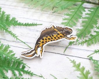 Great Crested Newt Wooden Pin - British Wildlife, Animal Inspired Gift Accessory With Eco Friendly, Plastic-Free Packaging