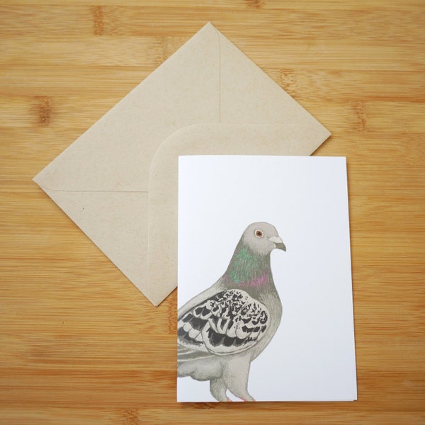 Illustrated Pigeon Card - Blank A6 Wildlife Inspired Greetings Card for Birthdays, Anniversary, Thank You, With Eco Friendly Packaging