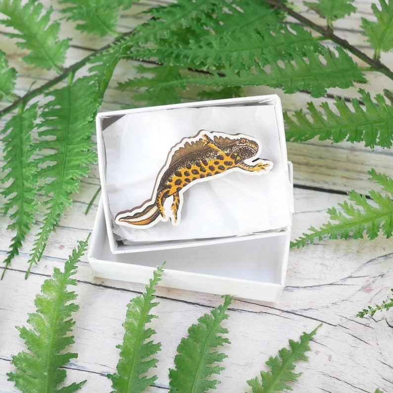 Great Crested Newt Wooden Pin British Wildlife, Animal Inspired Gift Accessory With Eco Friendly, Plastic-Free Packaging image 4