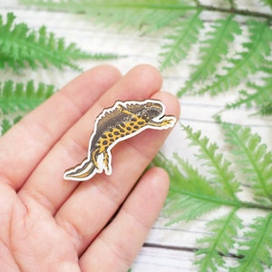 Great Crested Newt Wooden Pin British Wildlife, Animal Inspired Gift Accessory With Eco Friendly, Plastic-Free Packaging image 2