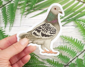 Pigeon Vinyl Sticker - Waterproof Animal Wildlife Inspired Gift With Eco Friendly, Plastic-Free Packaging