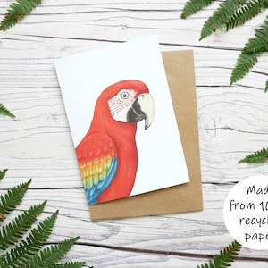Carte illustrée d'ara rouge - carte de voeux inspirée de la faune 100 % recyclée avec emballage sans plastique - anniversaire, carte de remerciement