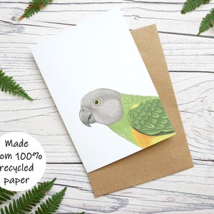 Carte illustrée de perroquet du Sénégal - Carte de voeux 100 % recyclée de la faune sauvage avec emballage sans plastique - Carte vierge, d'anniversaire, de remerciement