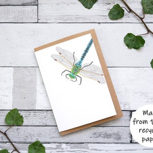 Carte illustrée libellule - Carte de voeux 100 % recyclée inspirée de la faune avec emballage sans plastique - Carte vierge, d'anniversaire, de remerciement