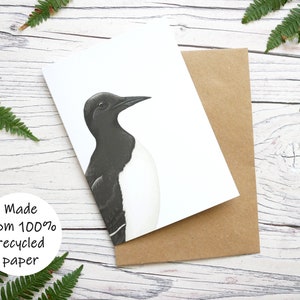 Carte Guillemot illustrée - Carte de voeux 100 % recyclée inspirée de la faune avec emballage sans plastique - Carte vierge, d'anniversaire, de remerciement