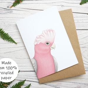 Carte illustrée de perroquet rose de Galah - Carte de voeux 100 % recyclée inspirée de la faune avec emballage sans plastique - Vierge, anniversaire, merci