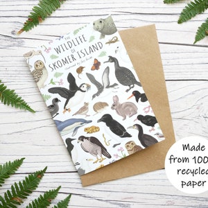 Carte illustrée de l'île de Skomer - Carte de voeux animalière 100 % recyclée avec emballage sans plastique - Carte vierge, d'anniversaire, de remerciement