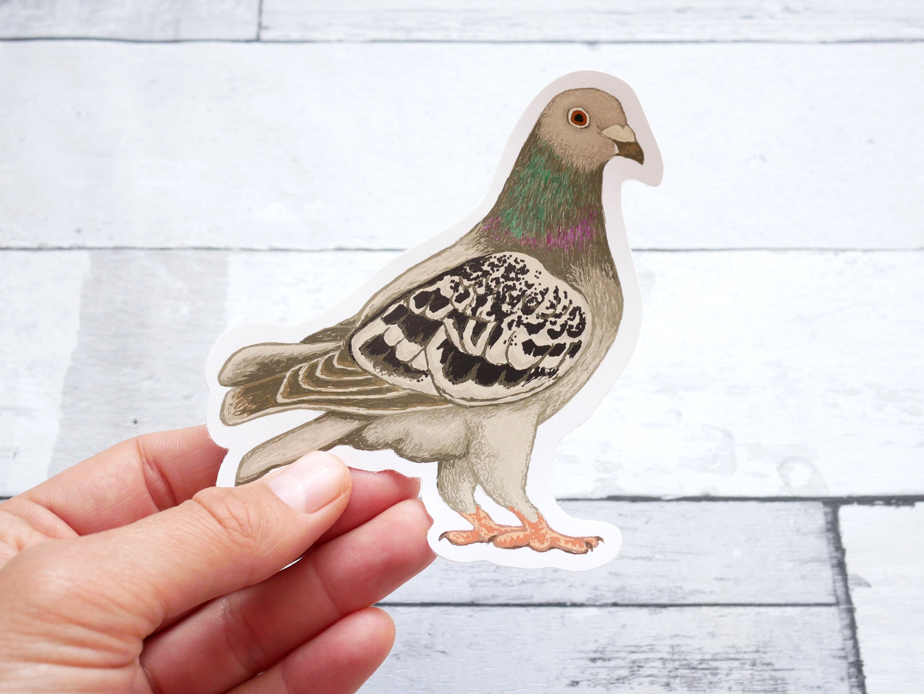 Pigeon Vinyl Sticker - Waterproof Animal Wildlife Inspired Gift With ...