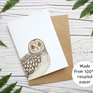 Carte illustrée pour un hibou des marais - Carte de voeux animalière 100 % recyclée avec emballage sans plastique - Carte vierge, d'anniversaire, de remerciement