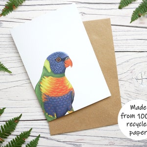 Carte illustrée de loriquet arc-en-ciel - carte de voeux 100 % recyclée inspirée de la faune avec emballage sans plastique - anniversaire, carte de remerciement